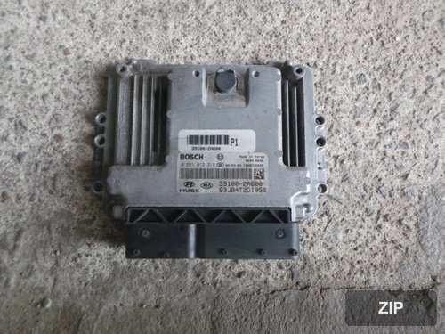 ECU 391002A600