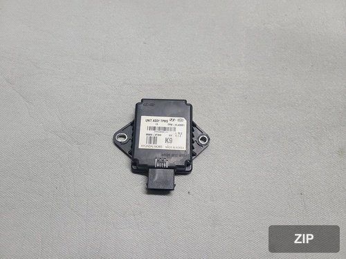 Модуль TPMS 958003T300